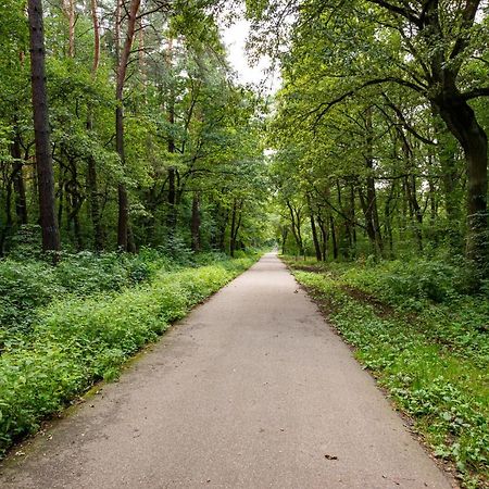 Ferienwohnung Willa Debowa Niepołomice Exterior foto